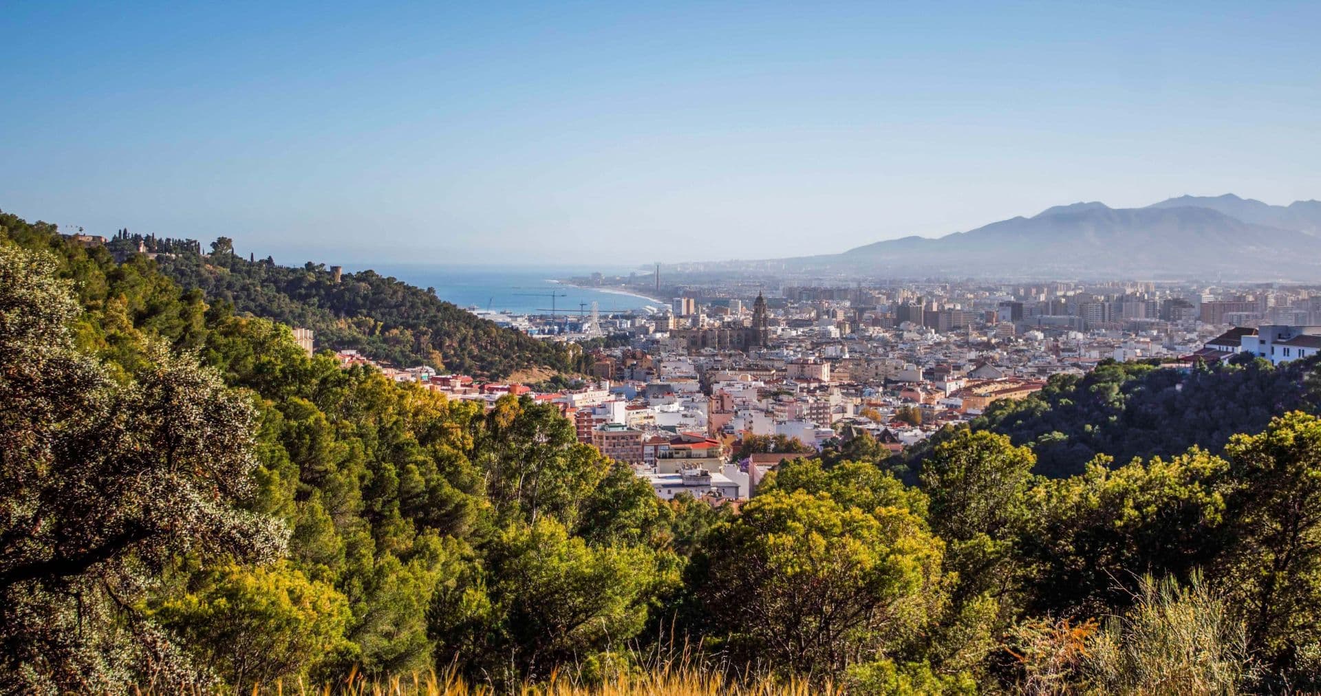 Ruta de Bodegas y Vinos de Málaga