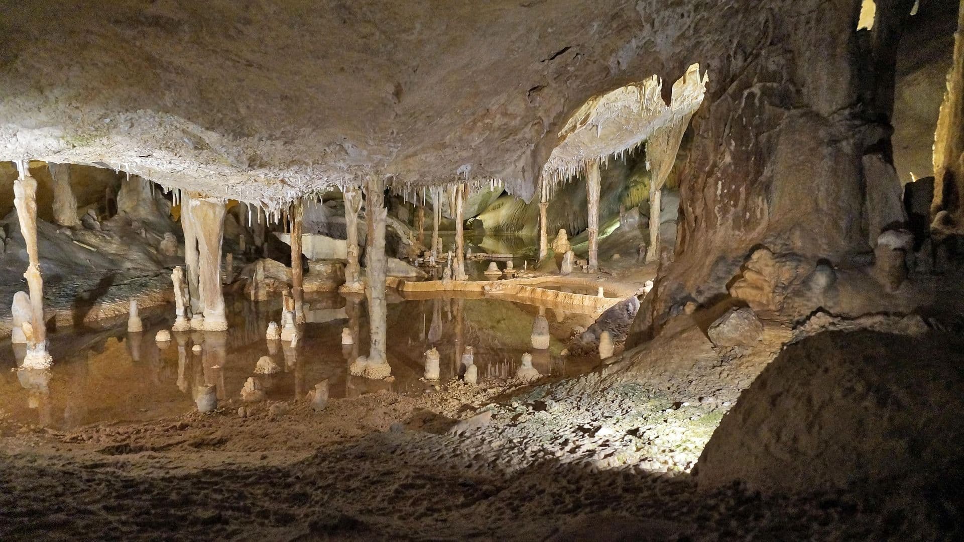 Snorkel y Cuevas de Nerja
