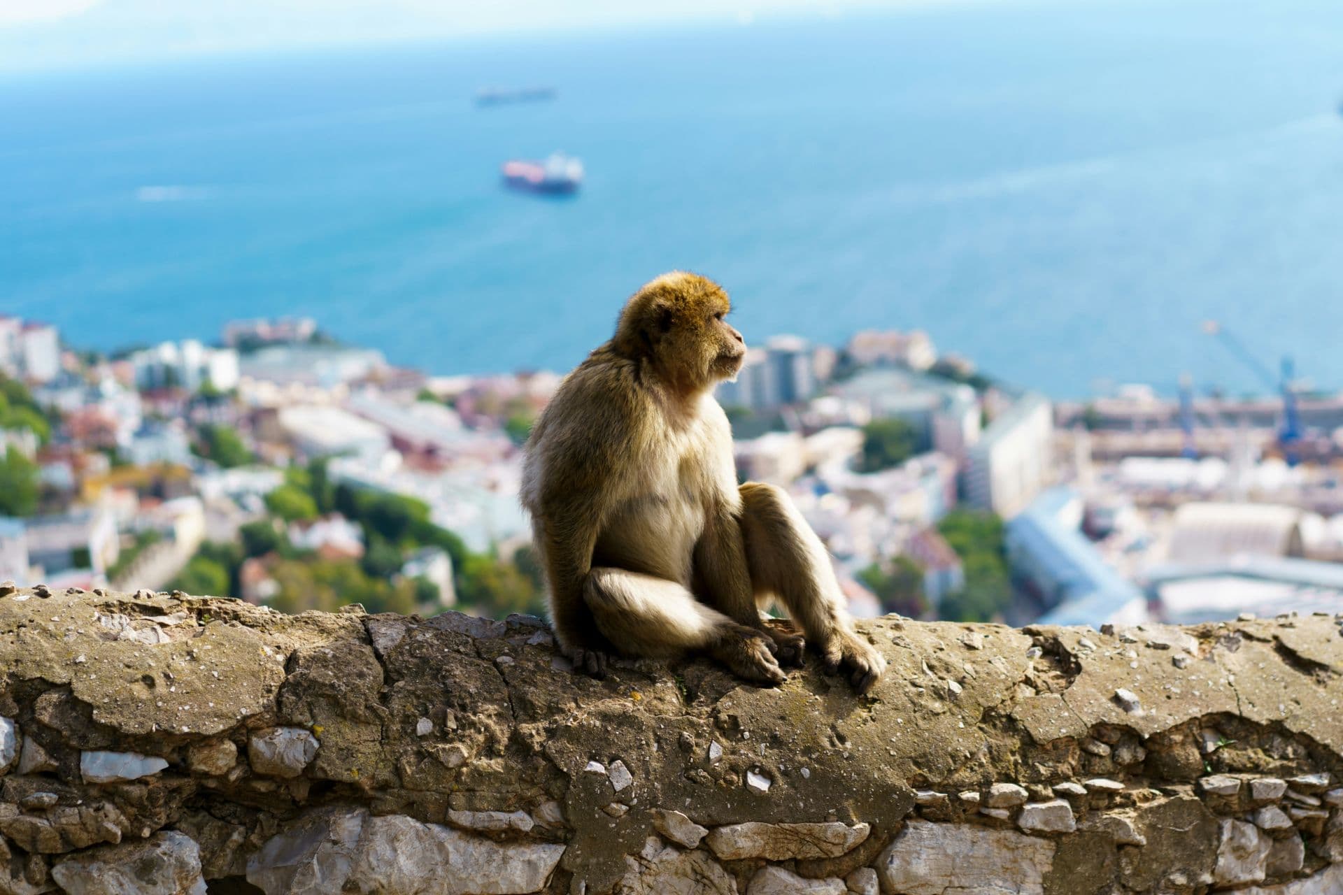 Imagen 1 de la galería de Gibraltar