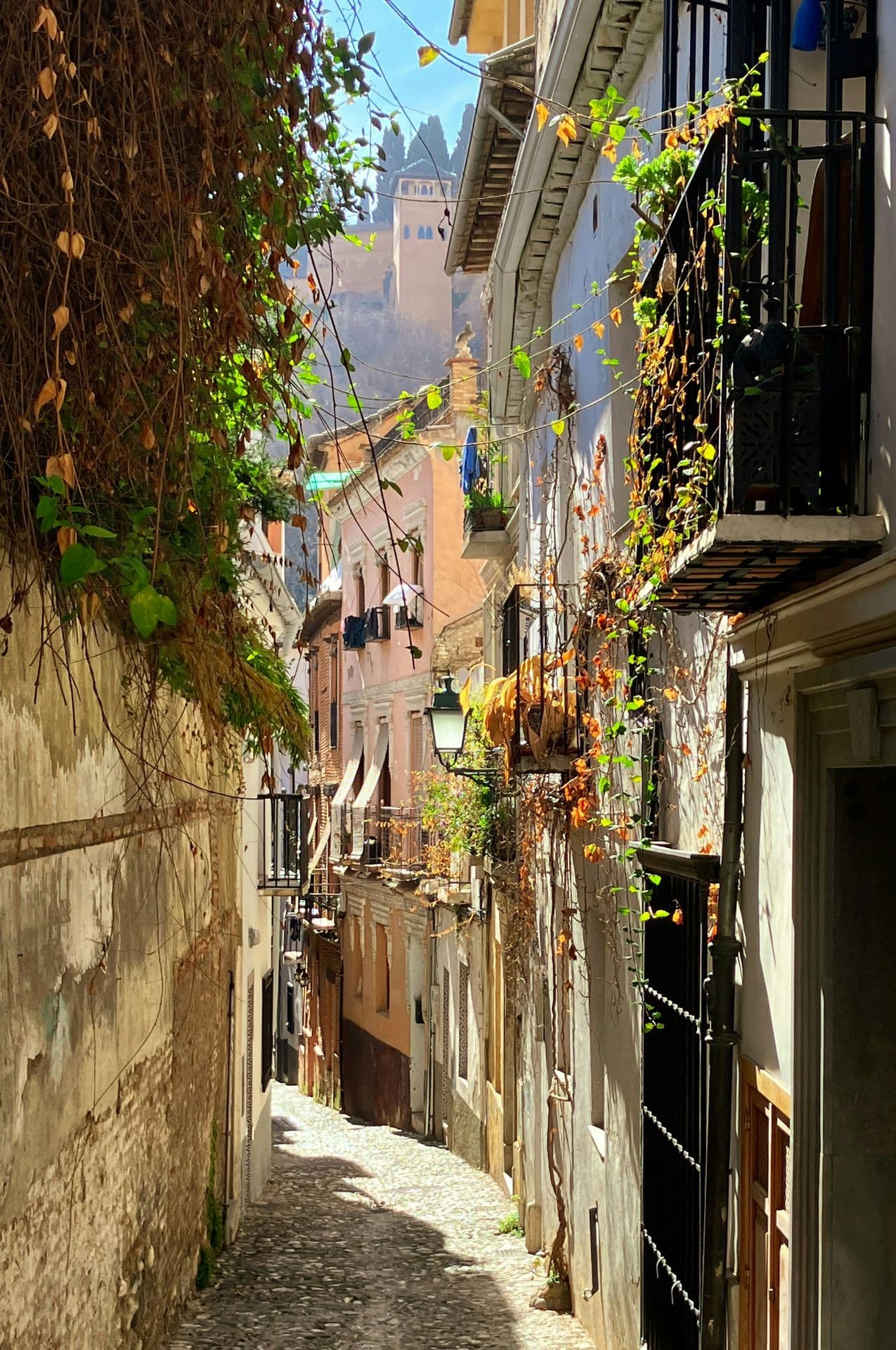Imagen 5 de la galería de Granada y La Alhambra