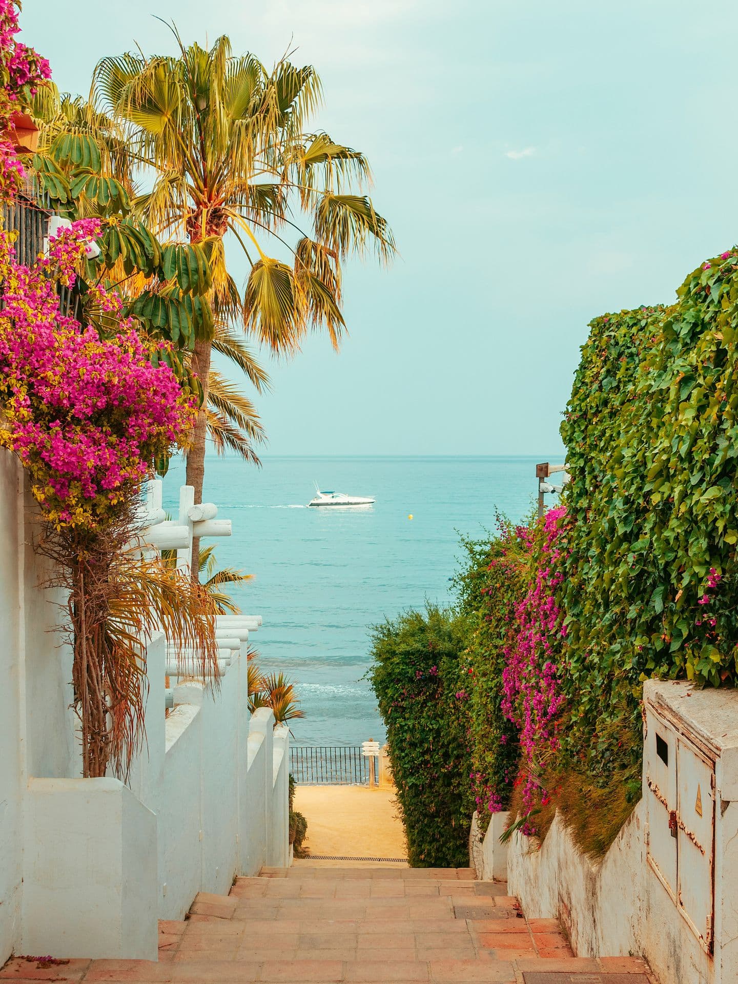 Imagen 2 de la galería de Marbella