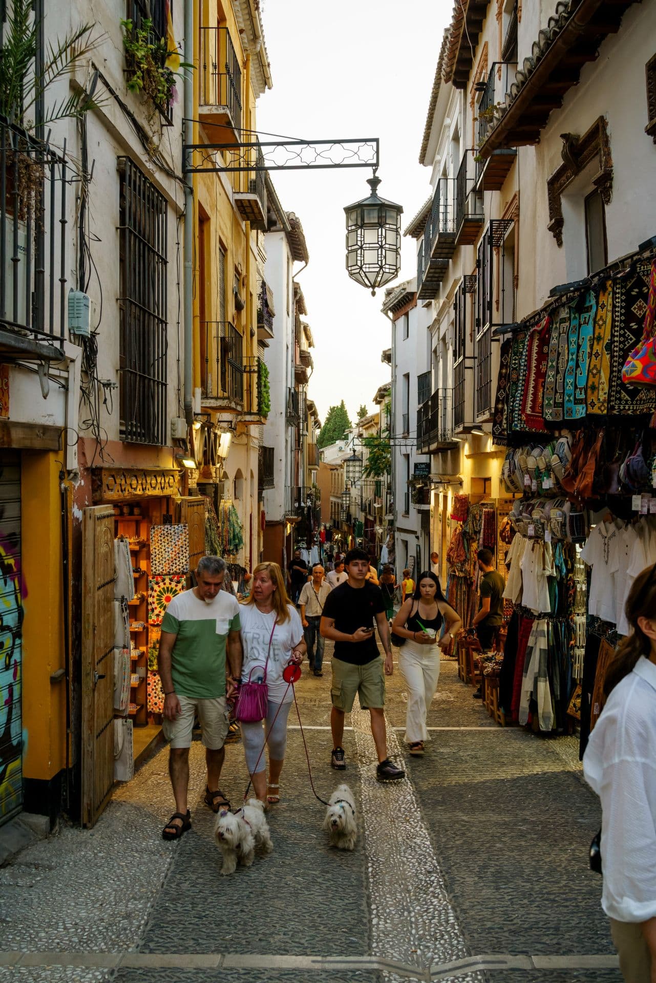 Imagen 1 de la galería de Granada y La Alhambra