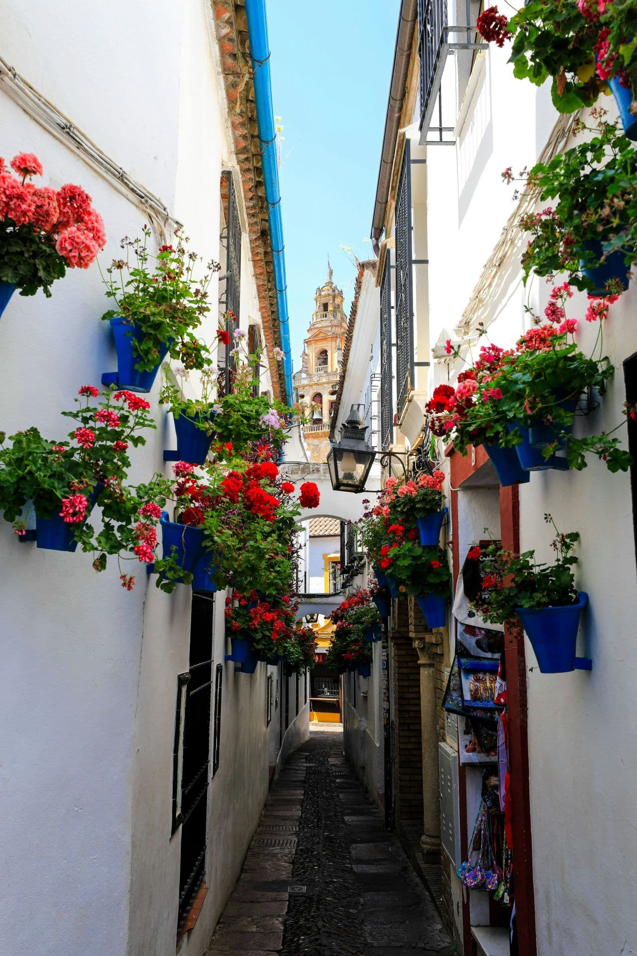 Imagen 1 de la galería de Córdoba